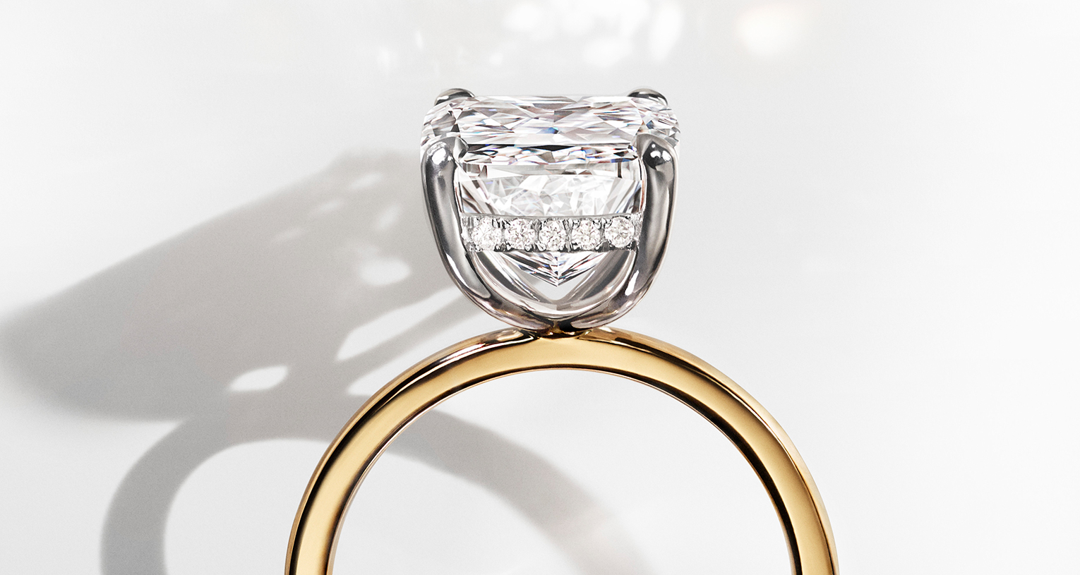 custome ring banner web